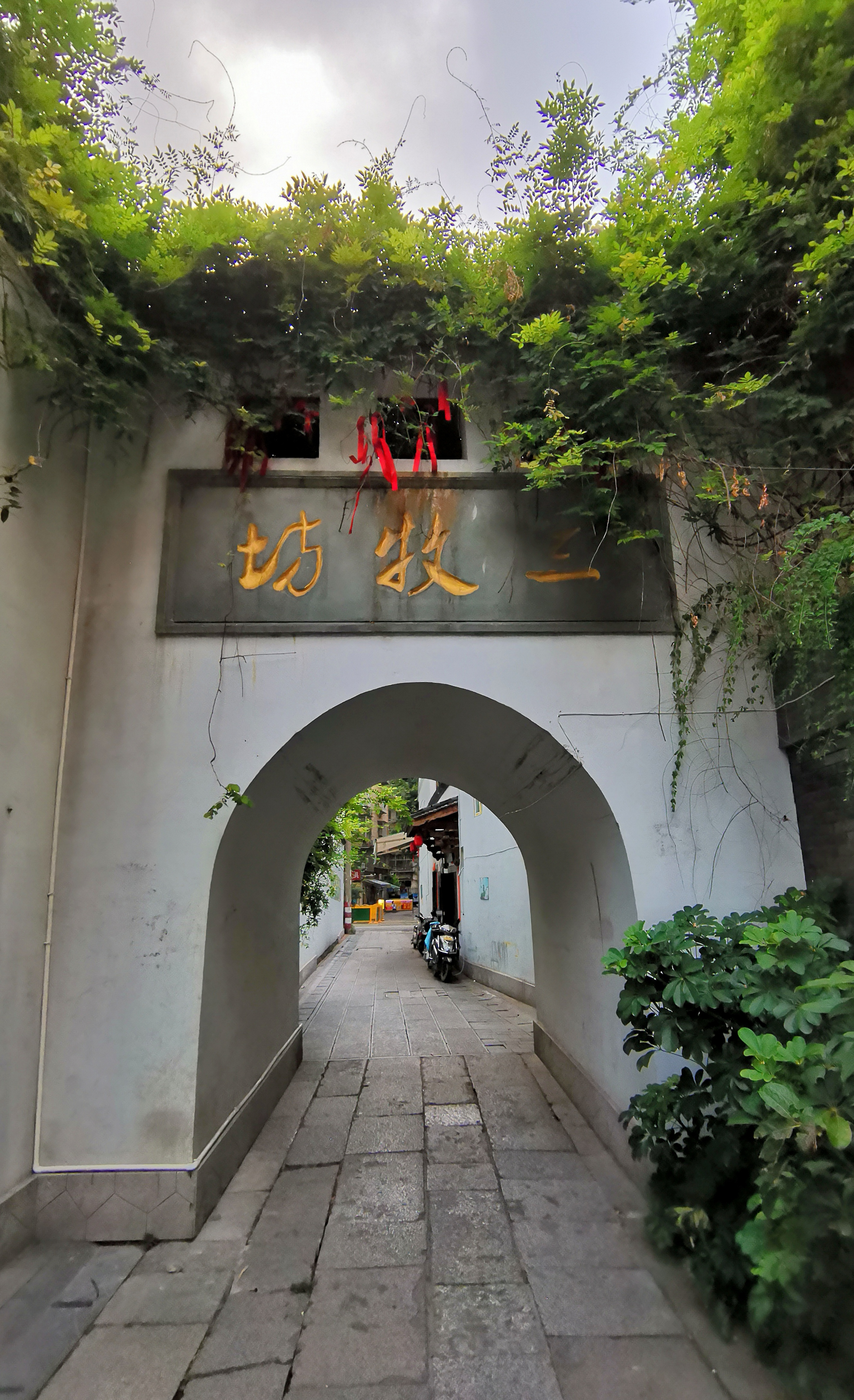 福建情结,福建人的家族情结