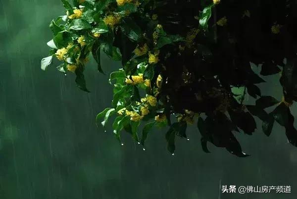 晨读|秋从何处来？