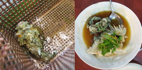 慧佳文写作案例《骨灰级吃货推荐——马来西亚沙巴州海鲜》