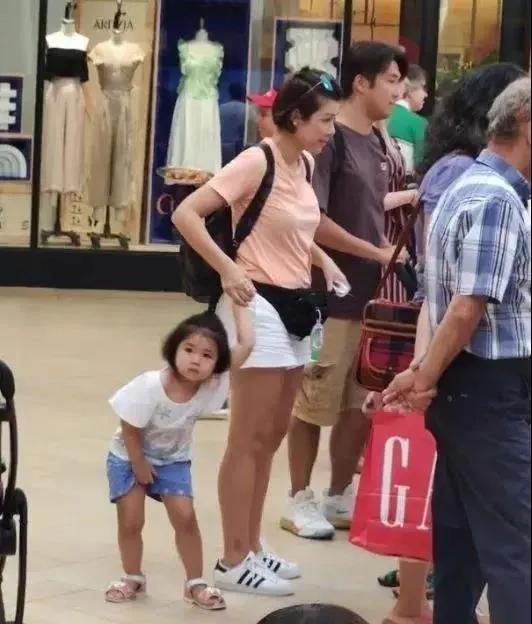 陈豪毒舌,陈豪49岁的生活