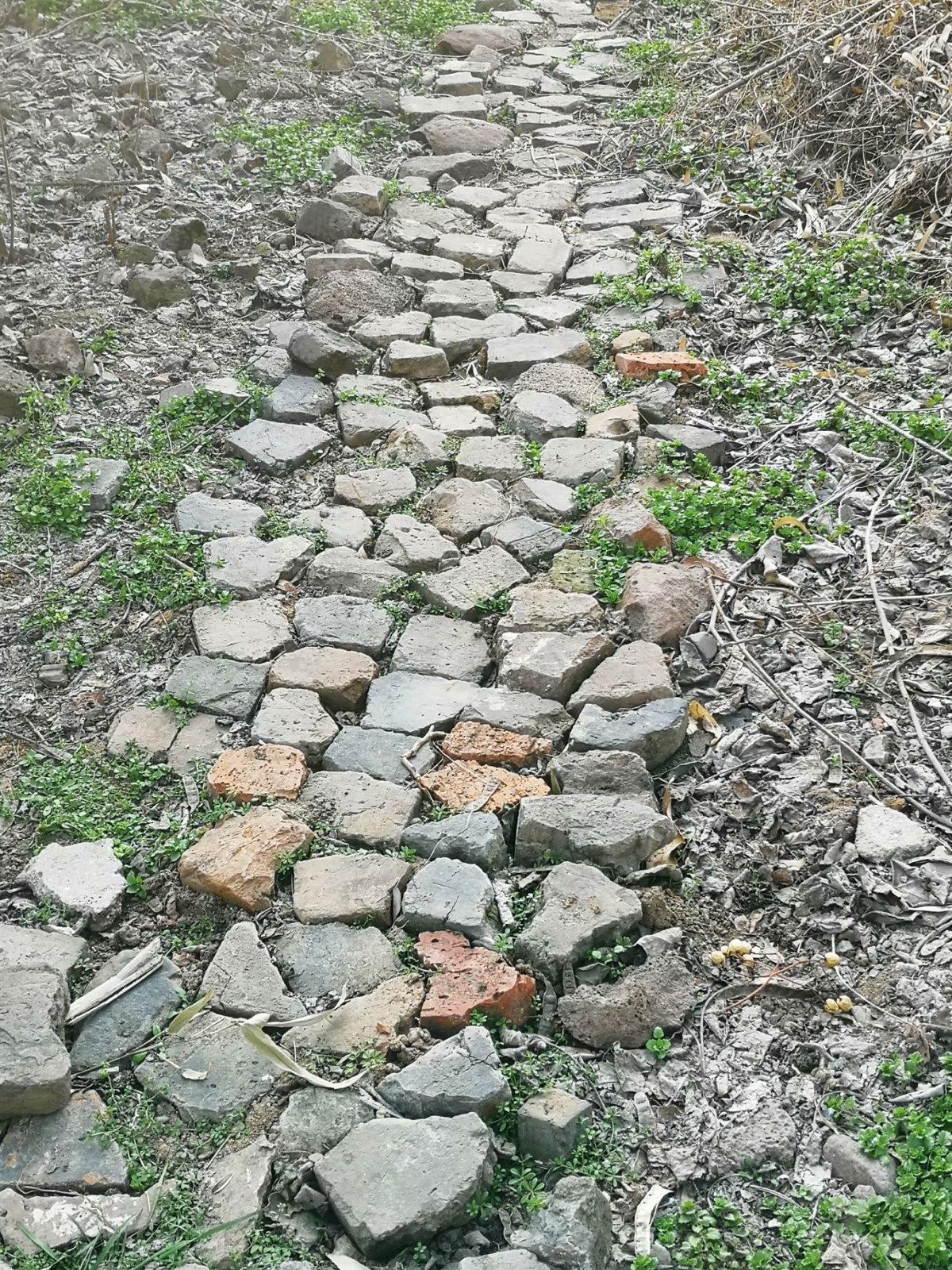 摩托周边旮旯游——探访明光法华禅庵塔