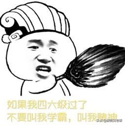 四六级准考证忘了怎么查分数,四六级准考证号丢了怎么办