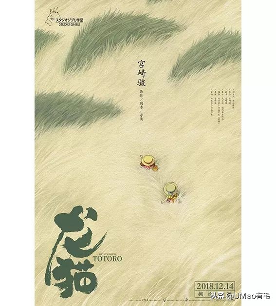 宫崎骏老爷爷笔下经典形象龙猫的原型居然是个鸟,WTF+问号脸