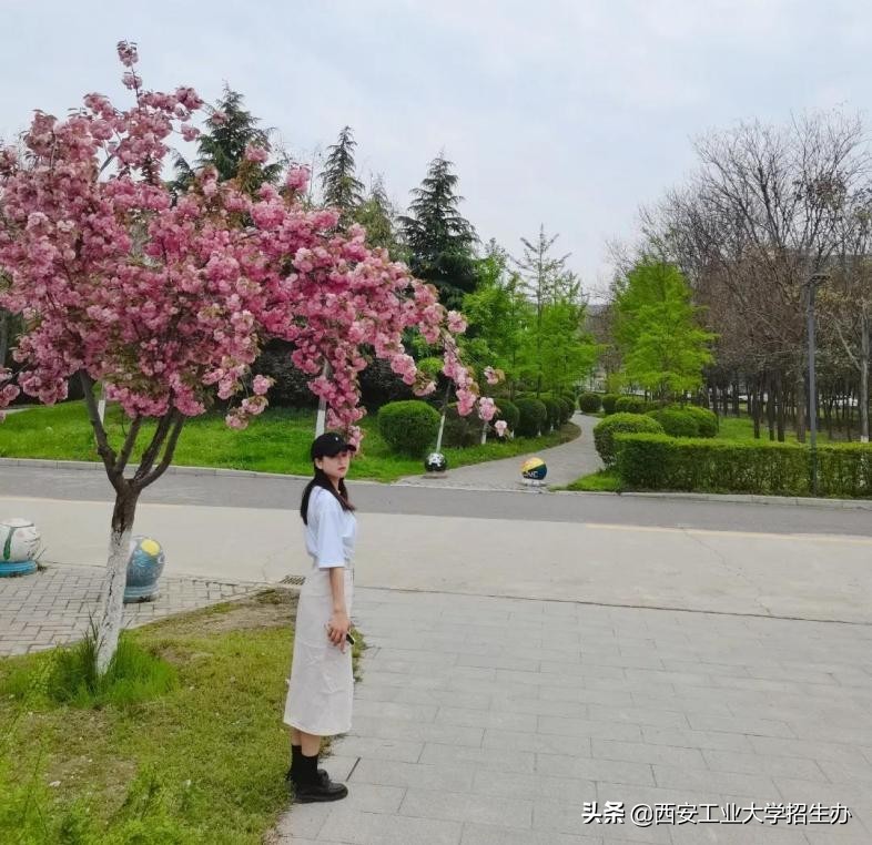 西工高颜值“姐妹花”！奖学金拿到手软，上岸名校，个个神仙履历