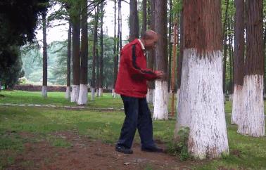 排毒养生就是养命,天天看养生视频没病找病