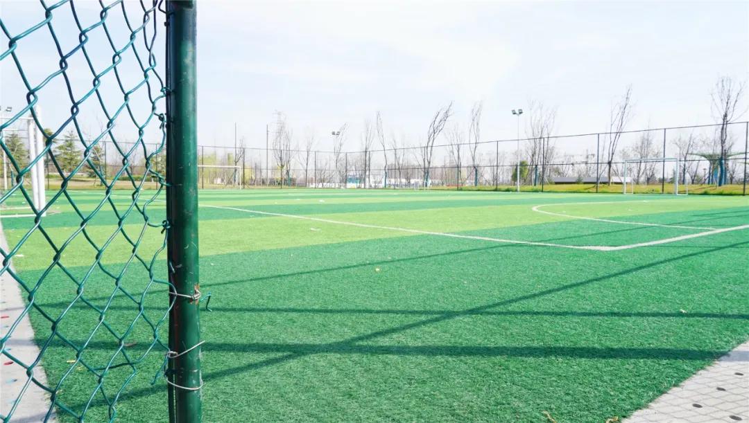 郑州免费游玩公园推荐,郑州新公园开放了吗