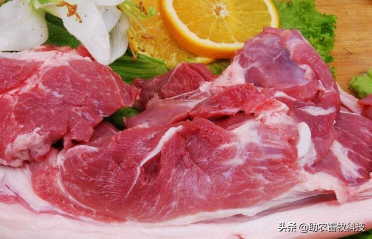 提高猪肉品质的饲喂方法,猪肌肉脂肪含量测定