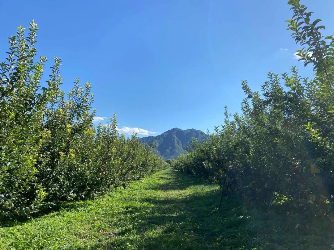 昌平自驾游京郊最佳好去处,北京昌平区冬季旅游