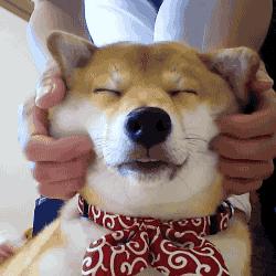 竟然用“油”拯救了我的大烂脸!