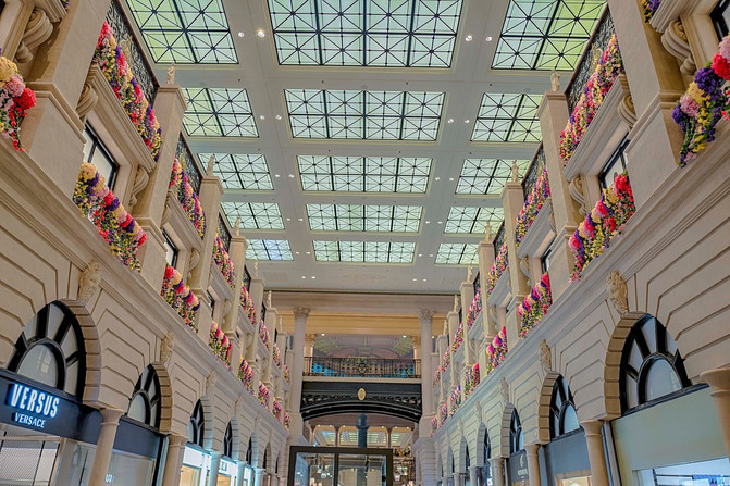 果小姐的慢生活全集,果小姐的慢生活完整版