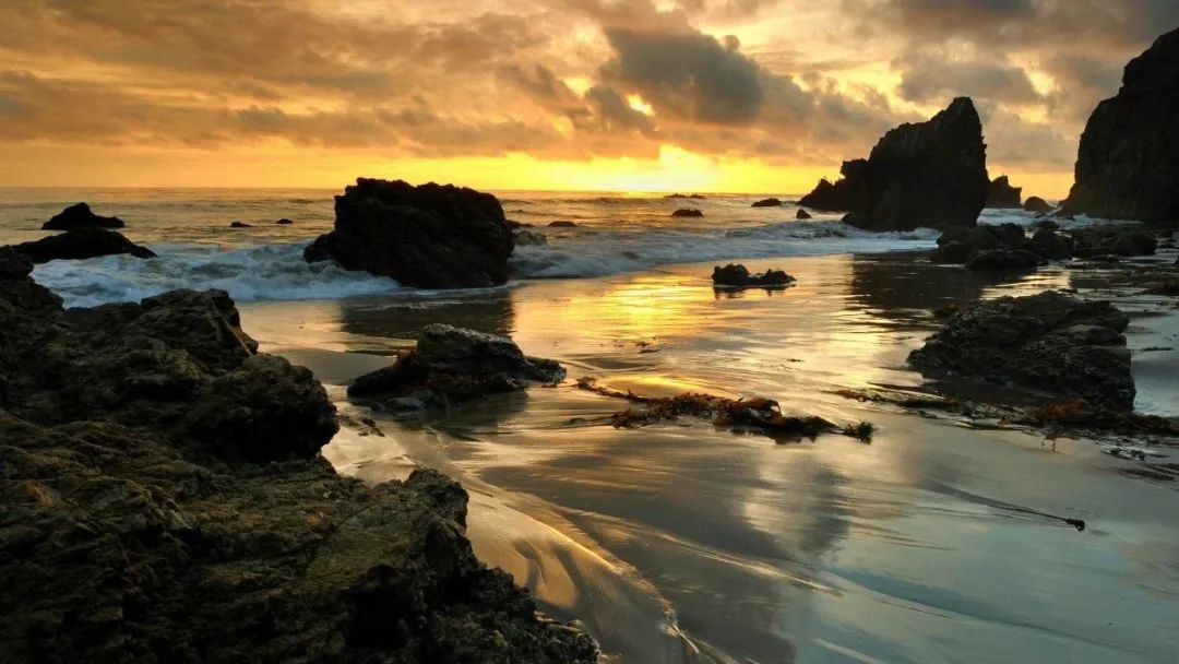 迈锐宝高性能,迈锐宝哪一款性价比高值得购买