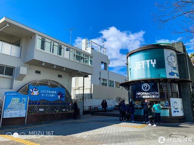 日本pitta口罩,日本买口罩用什么软件