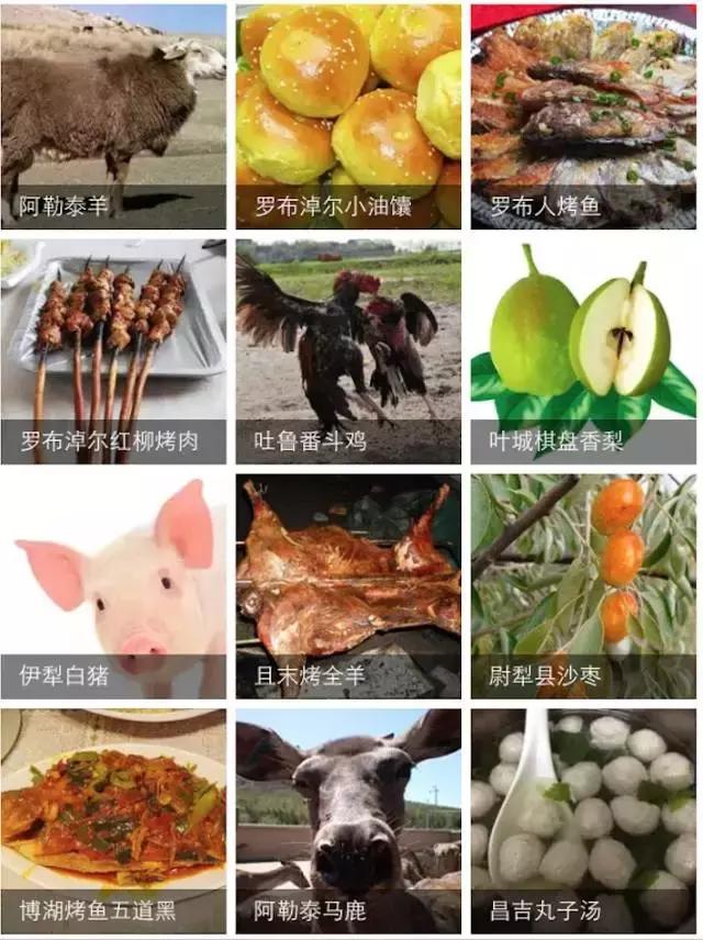 疆领鲜新疆特产,疆公子新疆特产