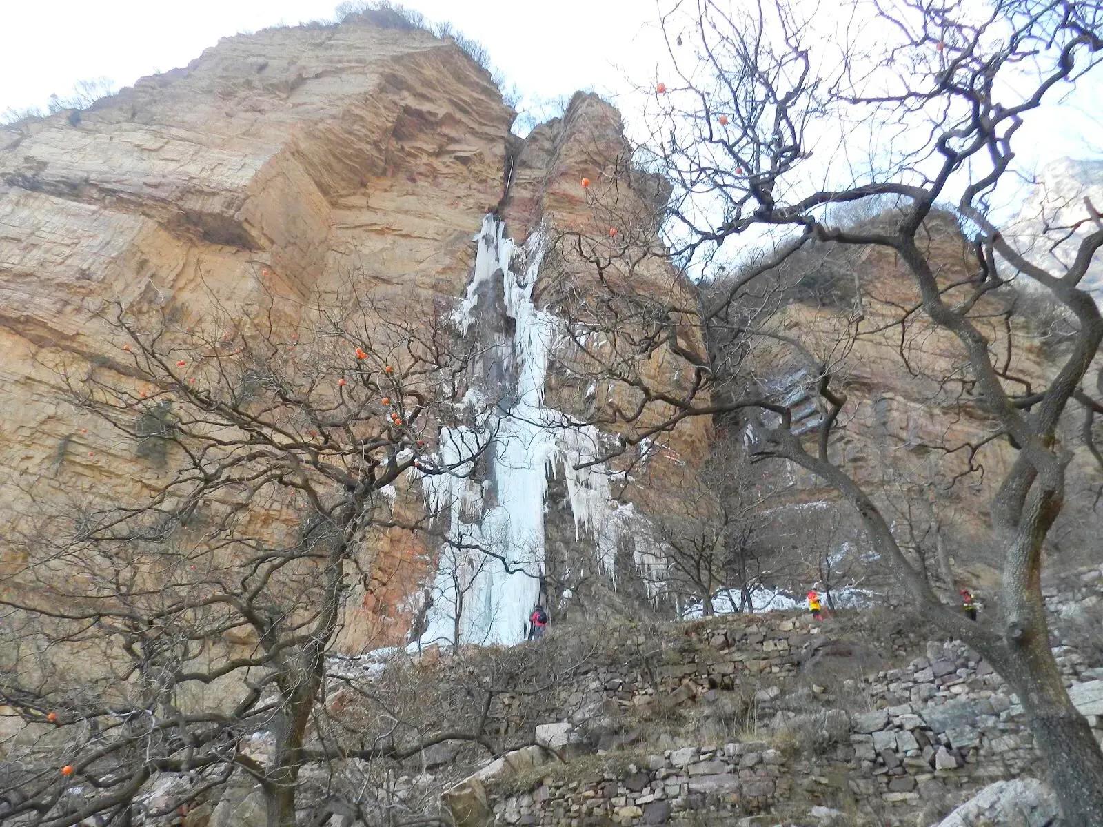 在山里迷路遇到狐狸,在山里迷路遇到了好漂亮的小姑娘