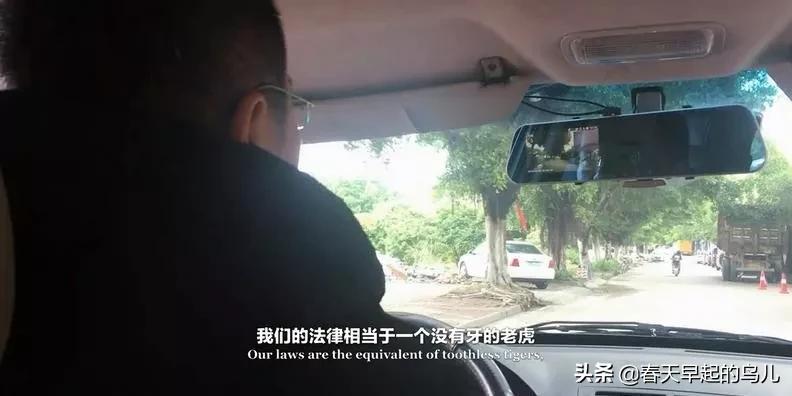 穿山甲报应,报应啊