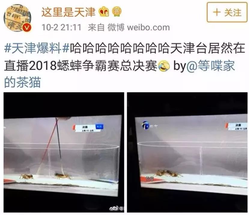 天津人全国口碑,天津人能有多俏皮