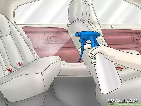 你的车里有“吸血鬼”吗