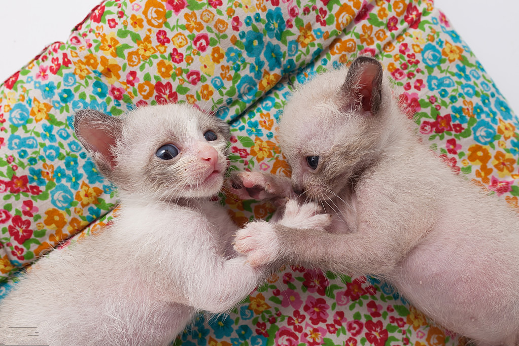 遇到刁蛮媳妇的最佳方式,遇见强势的老婆怎么办