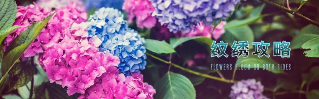 纹绣攻略,纹绣第一步操作