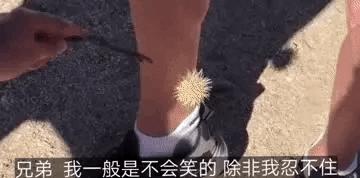 刚从后院挖出来的,大家帮我鉴定一下,我是不是要发财了?