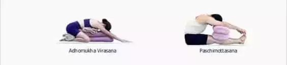 常见的艾扬格瑜伽体式,艾扬格瑜伽23个基本体式