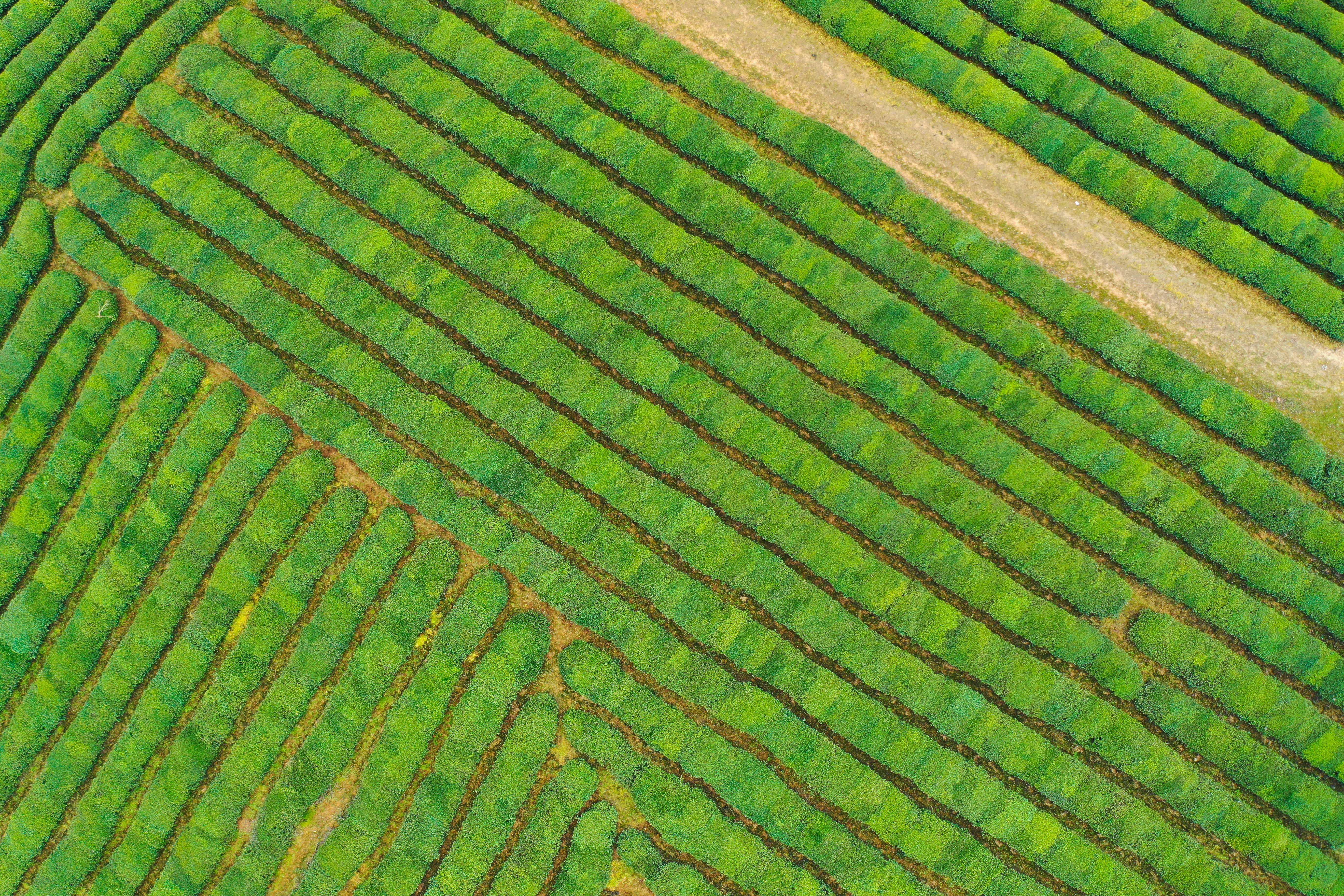 绿水青山的垦殖场