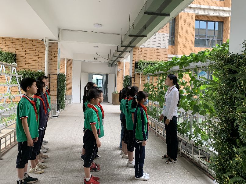 城东小学校歌乐器,城东小学文艺表演青春节拍