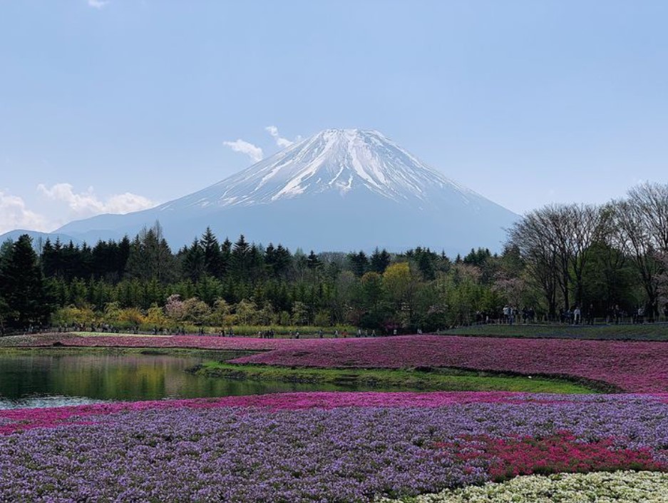 cnn评选出的日本最美的31个景点,cnn评选世界十大旅游地