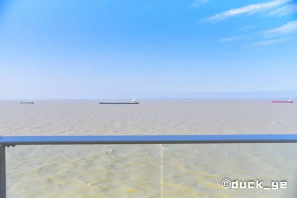 黄晓明皇家加勒比海洋光谱号,海洋光谱号黄晓明杨颖