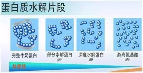 轻松搞定儿童食物过敏，只需六步！跟恼人的湿疹过敏说88
