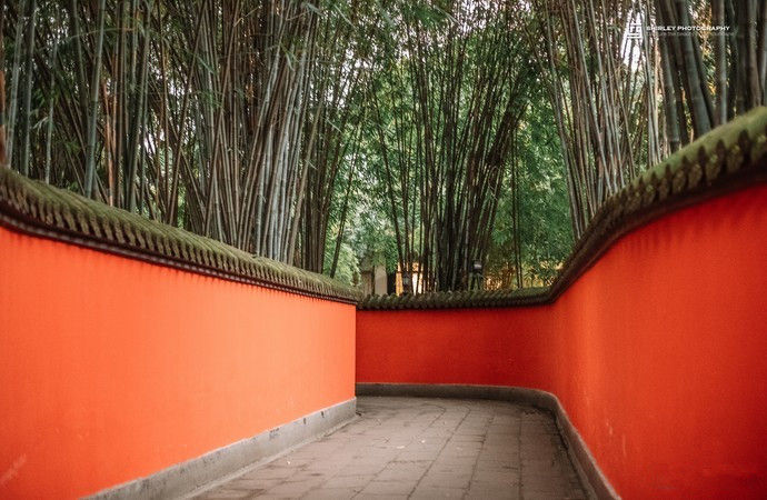 成都最吸引人的方面,成都最让你心动的地方