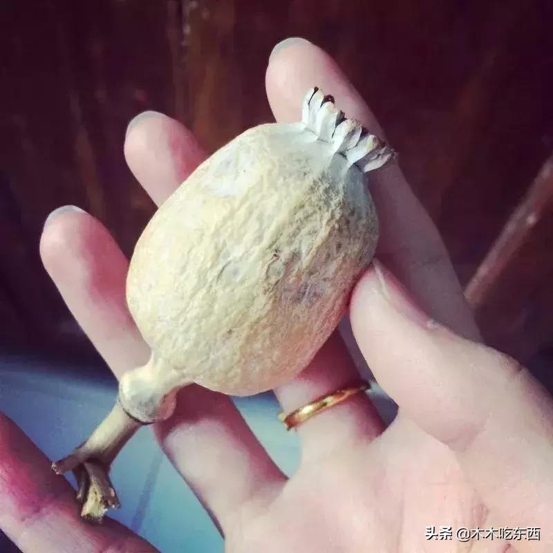 全国迷惑的特色美食,全国美食猎奇