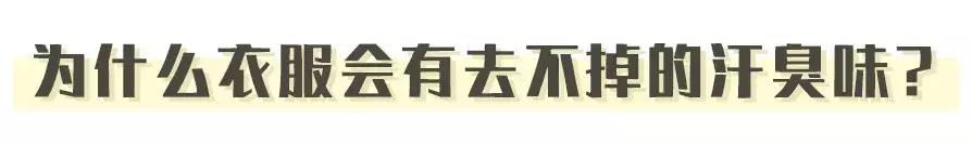 衣服上有汗渍洗不掉,男人衣服上的汗臭味怎么去除