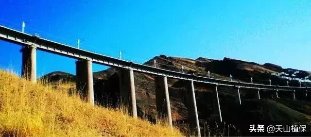 伊犁可克达拉草原,伊犁草原之旅