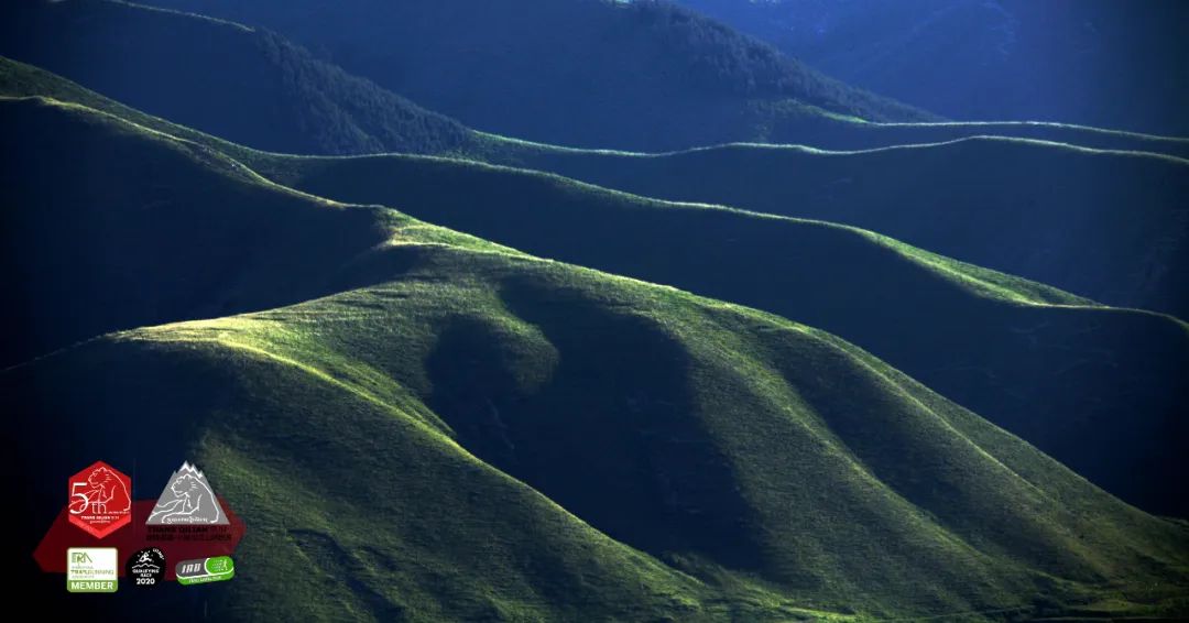 西北望射天狼深度解析,西北望射天狼霸气吗