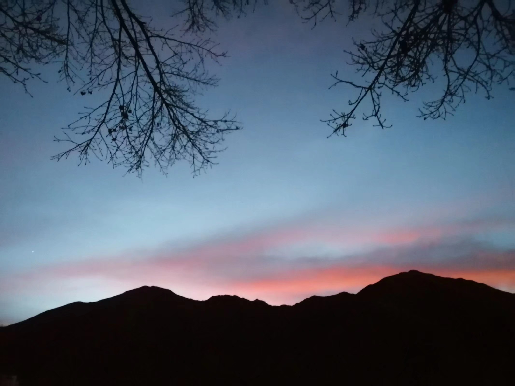 宁德地区的发展前景,宁德时代的发展历程