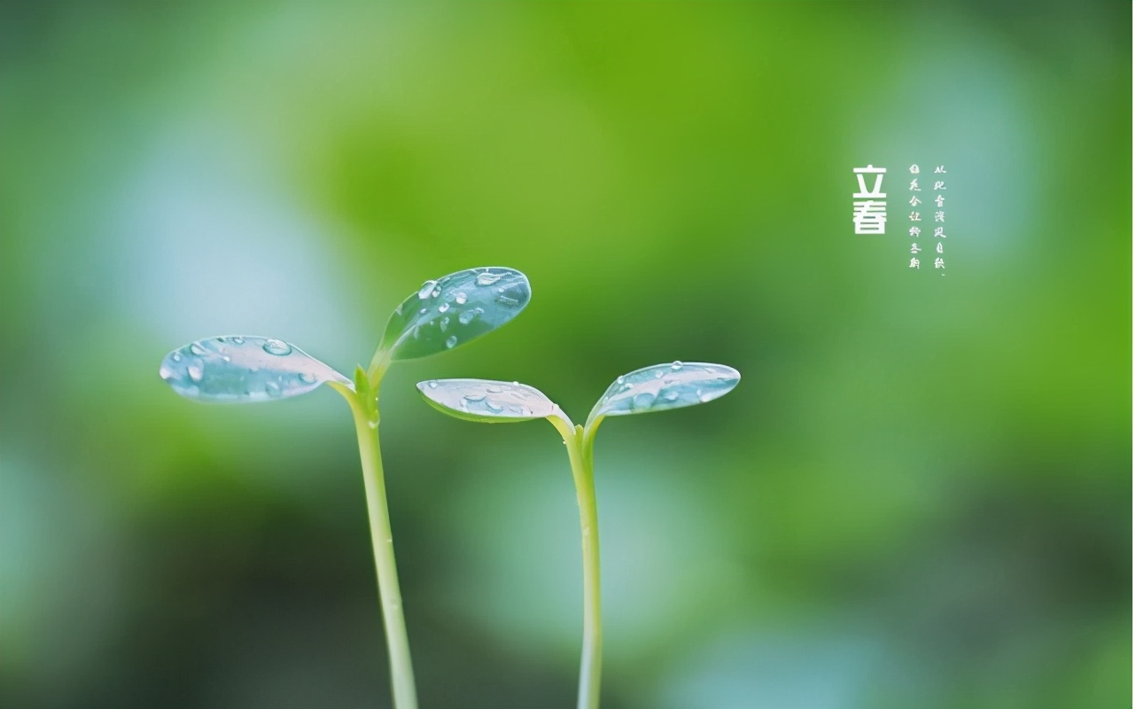 21年是辛丑无春年，农谚“寡年不逢春，遇牛五谷登”是啥意思？