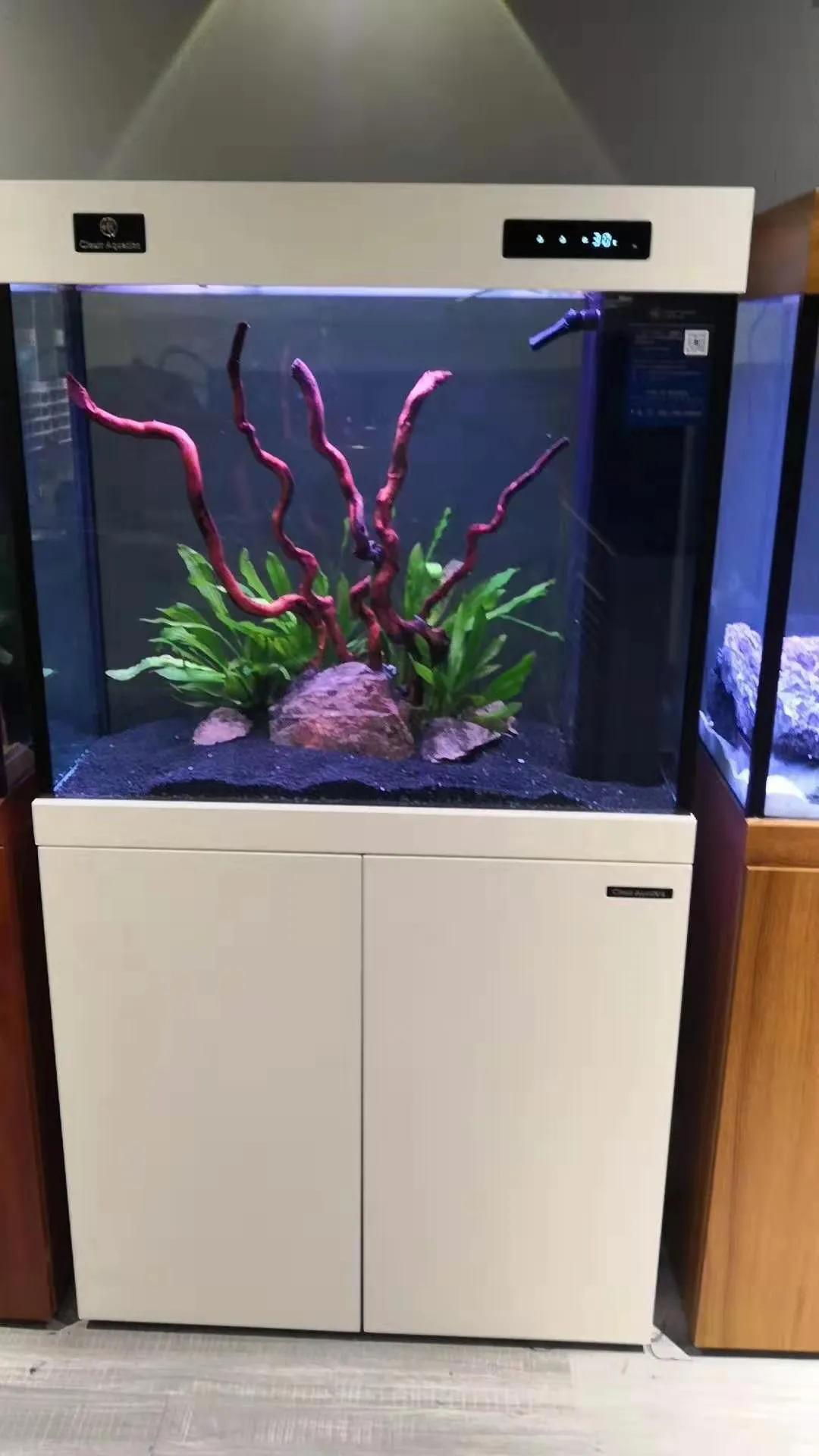 可丽爱鱼缸推荐,可丽爱鱼缸寿命