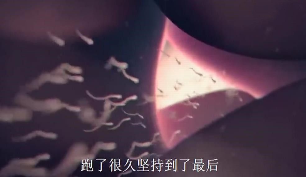 组图*放播**精子和卵子结合全过程,精子:找个媳妇,太难了