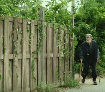 没想到日本国宝级画家，竟过着这样的生活！