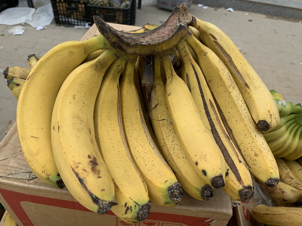 买香蕉买大的好还是小的好,买香蕉时挑直的还是弯的老果农