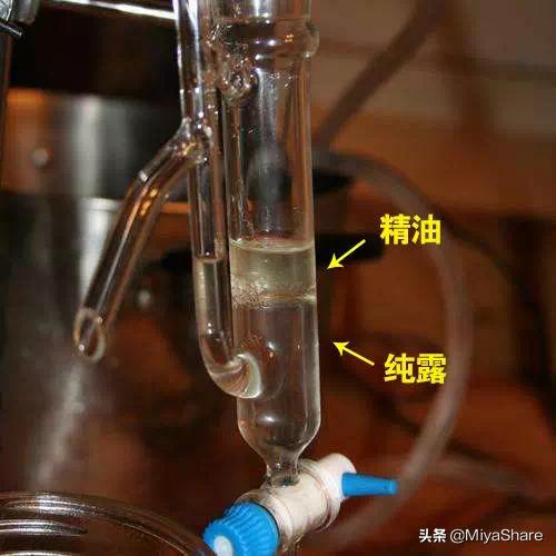 纯露抗皱美白,纯露祛痘护肤