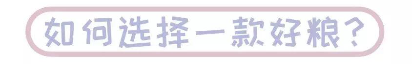 如何给猫选猫粮,易上火的猫应选择什么样的猫粮