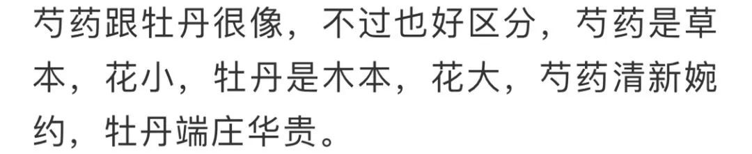 看到花的时候,不知是什么花?那就收下这份百花图谱