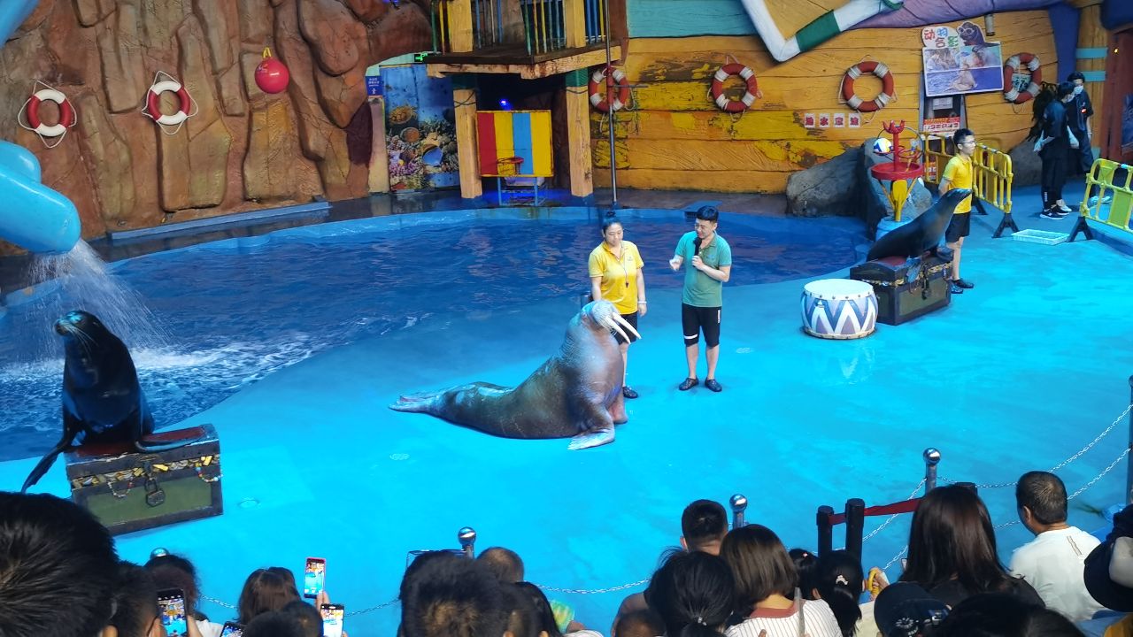 威海和厦门哪个海干净,威海的海干净美丽