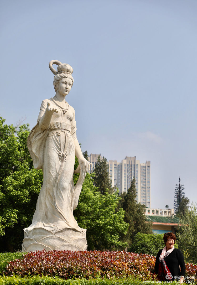 看洛阳牡丹花卉节,洛阳古都牡丹花展