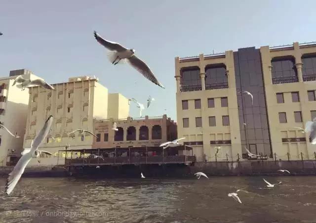 迪拜旅游便宜,迪拜旅游如何省钱