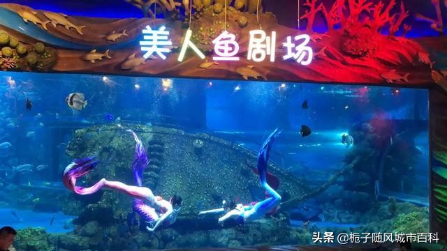 西安市海洋馆门票价格,西安市海洋馆表演时间表