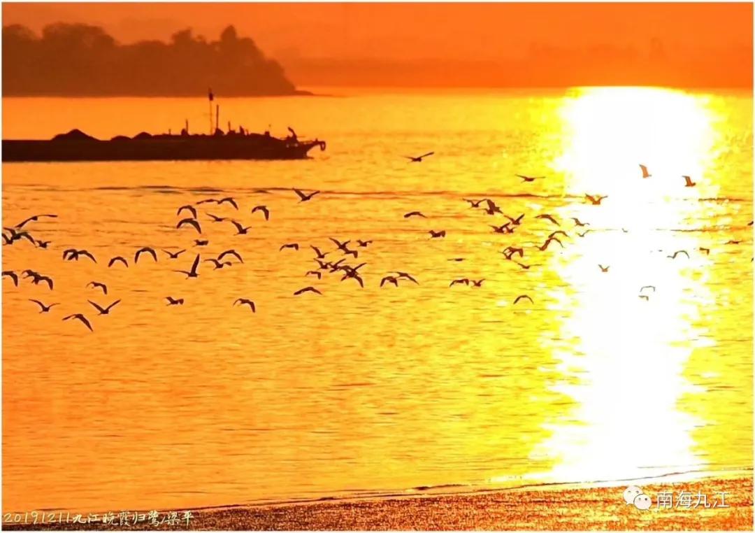 佛山看月亮最佳地点,佛山附近赏月最佳地方