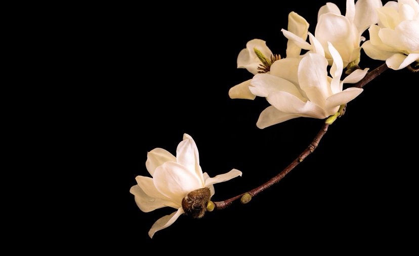 离婚后男人一般过得怎么样,离婚后男人几种表现会回来找自己